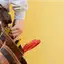 Handyman repair service in Jacksonville, FL for home fixes and improvements