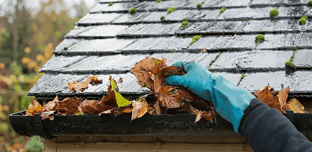 Gutter cleaning technician clearing wet leaves from roof gutters in Jacksonville, FL